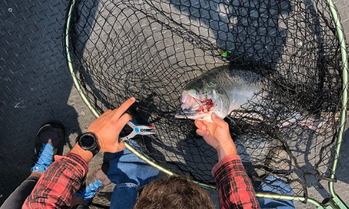 Memorable Rouge River Fishing in Oregon